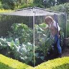 Harrod Slot & Lock® Economy Fruit Cage Harrod Slot & Lock® Economy Fruit Cage