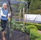 Harrod Zip Net Access Strips Harrod Zip Net Access Strips