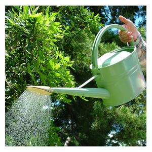 Haws 5ltr Watering Can (Pea Green)