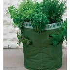 Herb Planters 2 Pack Herb Planters 2 Pack
