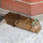 Humane Single Mouse Trap Humane Single Mouse Trap