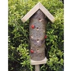 Ladybird Log Tower