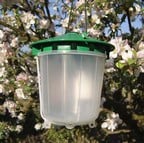 Leek Moth Trap