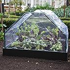 Link-a-Bord and Square Cloche Kit