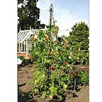 Maypole Climbing Frame (1.9m High)