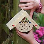 Mini Bugs Bug Box Mini Bugs Bug Box