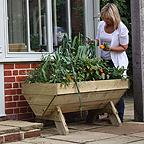 Mini Manger Trough Planters Mini Manger Trough Planters