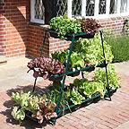 Multi-Level 'Patiogro' Patio Growing System