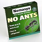 Nemasys 16 Colony No Ants Nematode