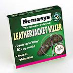 Nemasys Leatherjacket Killer