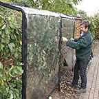 NEW Wall/Fence Fruit Tree Protector