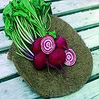 Organic Beetroot Chioggia Seeds
