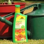 Organic Concentrated Tomato Food