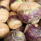 Organic Helenor Swede Seeds