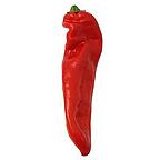 Organic Marconi Red Pepper Seeds