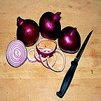 Organic Red Baron Onion Seeds Organic Red Baron Onion Seeds