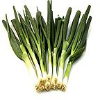 Organic Spring Onion - Ramrod