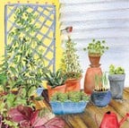 Patio Container Garden Patio Container Garden