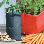 Patio Planter Pack Special Offer Patio Planter Pack Special Offer