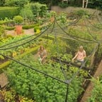 Peak Roof Decorative Steel Fruit Cage