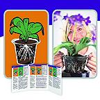 Plantarium Root Care Pots Plantarium Root Care Pots