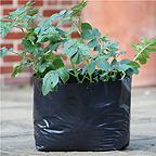 Polythene Potato Planters - Set of 5