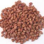 Premium Peanuts for Wild Birds Premium Peanuts for Wild Birds