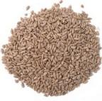 Premium Sunflower Hearts Premium Sunflower Hearts