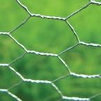 Rabbit & Chicken Wire Rabbit & Chicken Wire