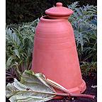 Rhubarb Forcer