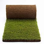 Rolawn Turf