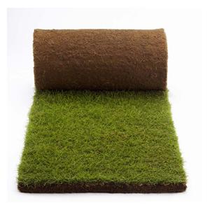 Rolawn Turf