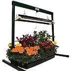 Root!tR Grow Light Systems Root!tR Grow Light Systems