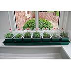 Self-Watering Super 7 Propagator