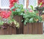 Set of 3 Round Planters with Willow Surrounds