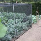 Slot & Lock® Vegetable Cage (1.5m H) Slot & Lock® Vegetable Cage (1.5m H)