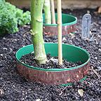 Slug Circles (4m)