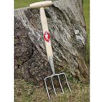 Sneeboer Ground Elder Fork
