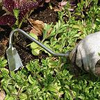 Sneeboer Hand Hoe/Weeder