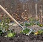 Sneeboer Royal Dutch Hoe Sneeboer Royal Dutch Hoe