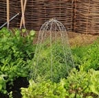 Sophie Conran Architectural Cloche Sophie Conran Architectural Cloche