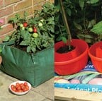 Special Growbag Growing Offer Special Growbag Growing Offer
