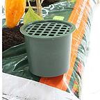 Speed Feed for Growbags Speed Feed for Growbags