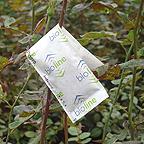 Spider Mite Killer Sachets