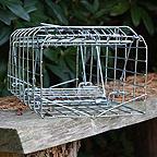 Squirrel Trap Squirrel Trap