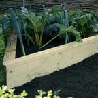 Standard Corner Wooden Raised Beds