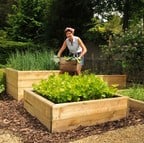 Standard Wooden Raised Beds Standard Wooden Raised Beds