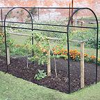 Steel Corridor Cage