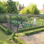 Steel Fruit Cages Steel Fruit Cages