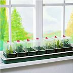 Super 7 Propagator